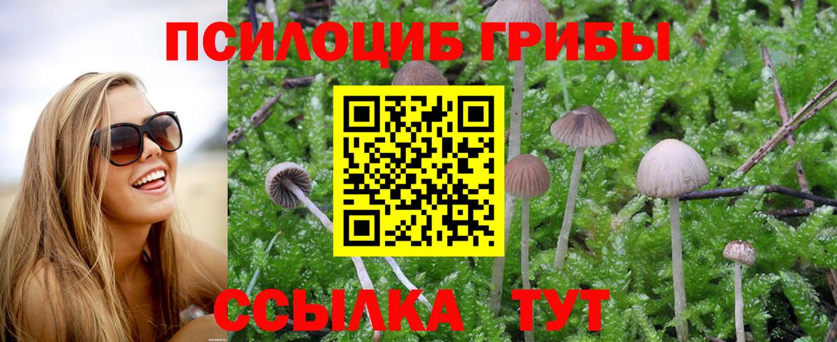 Псилоцибиновые грибы GOLDEN TEACHER Междуреченск